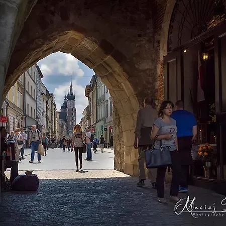 Hummus Vegan * Cracovia